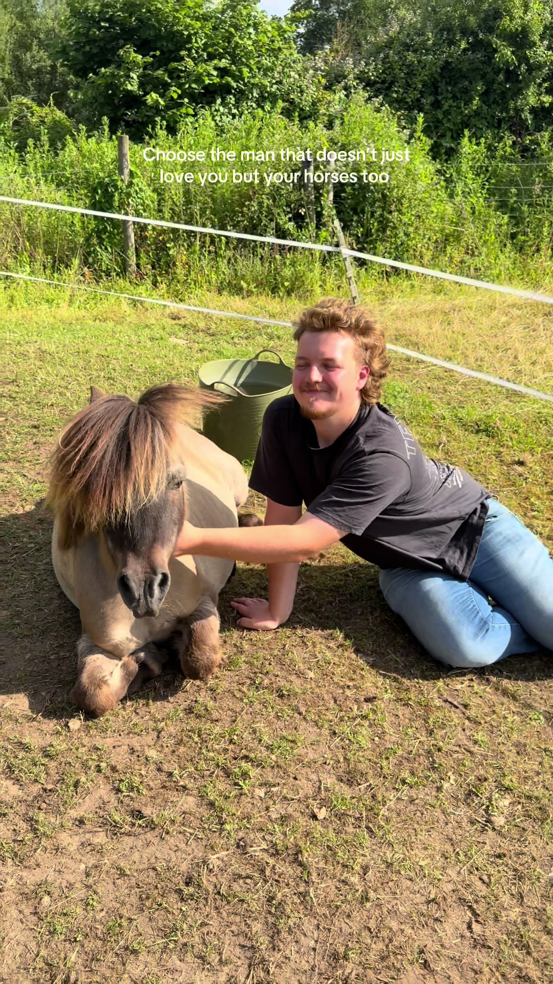 @Ernie 🐴