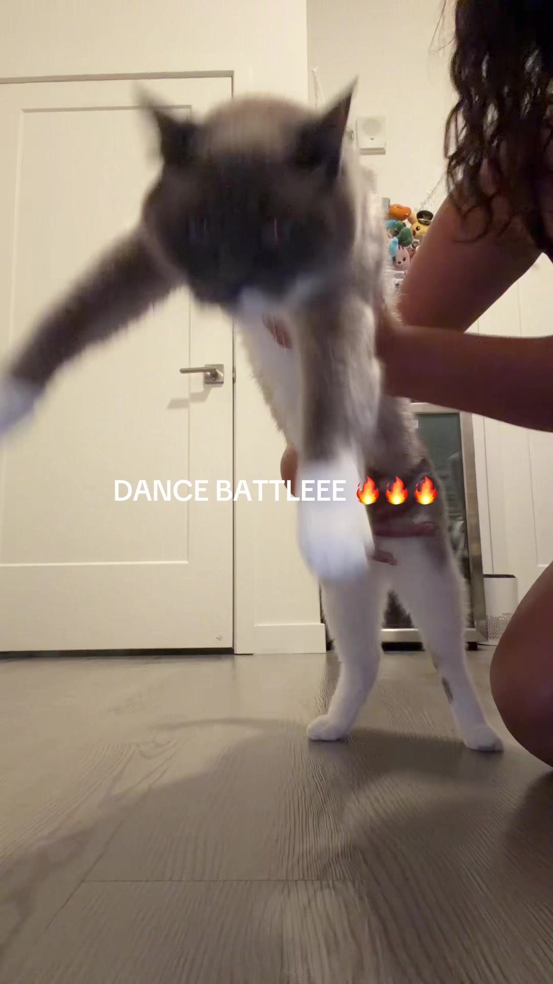@Mel