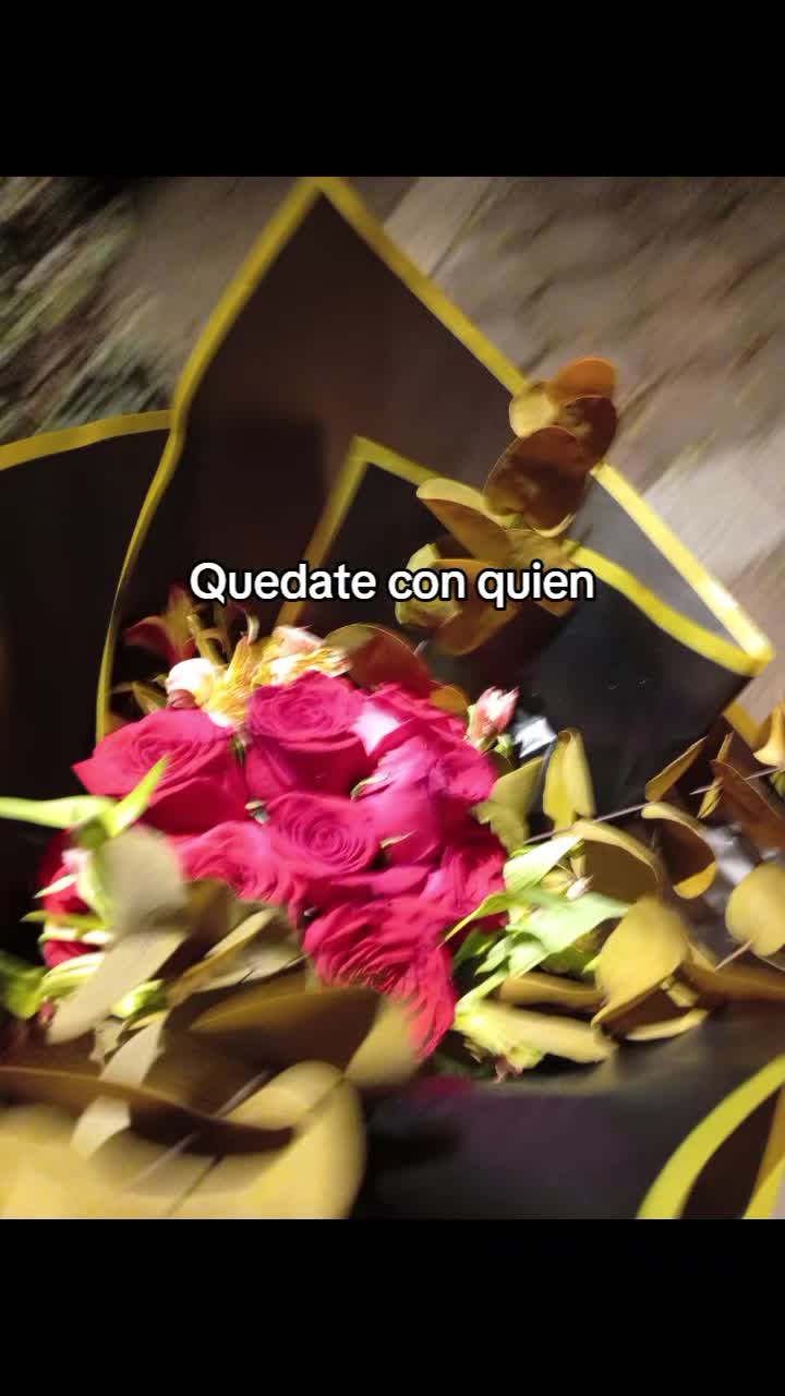 @Brenda Alonso