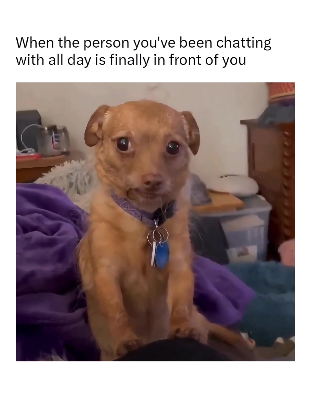 @Memezar