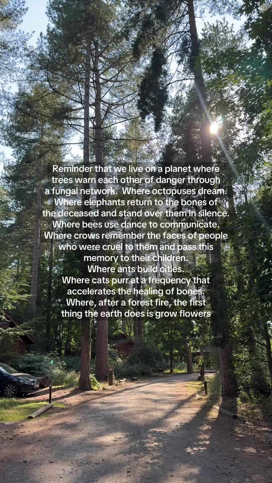 @Emma - The Wanderer