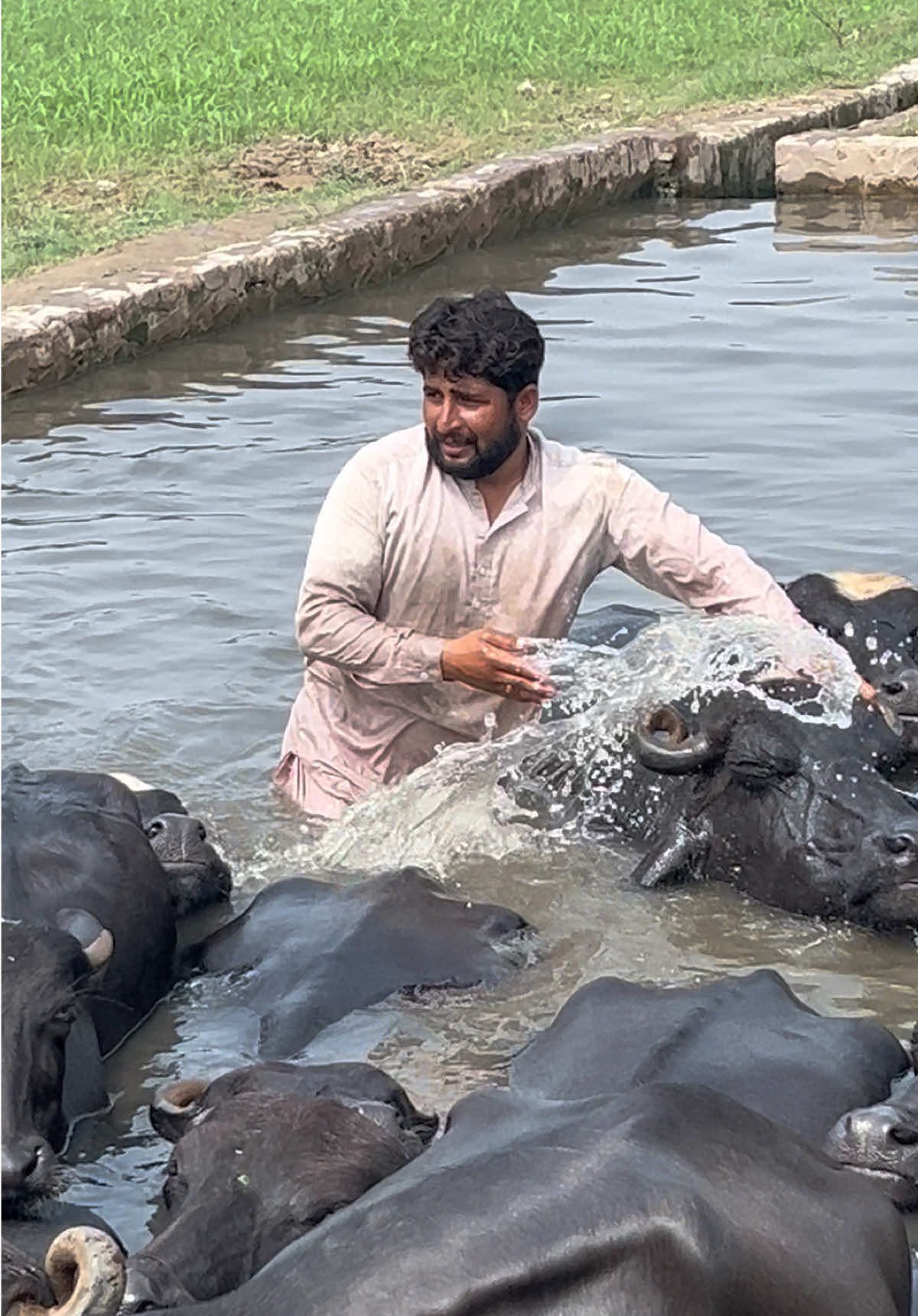 @پینڈو بوائز 378