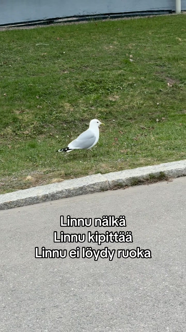 @RyppyMummo