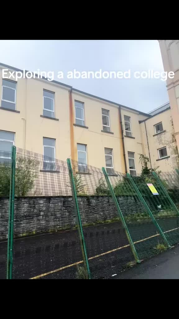 @Cadhan litter