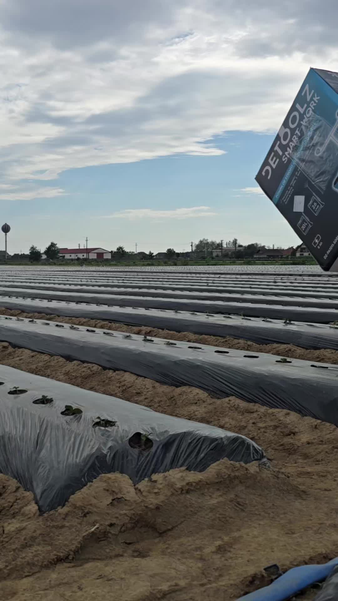 @Faze Farm