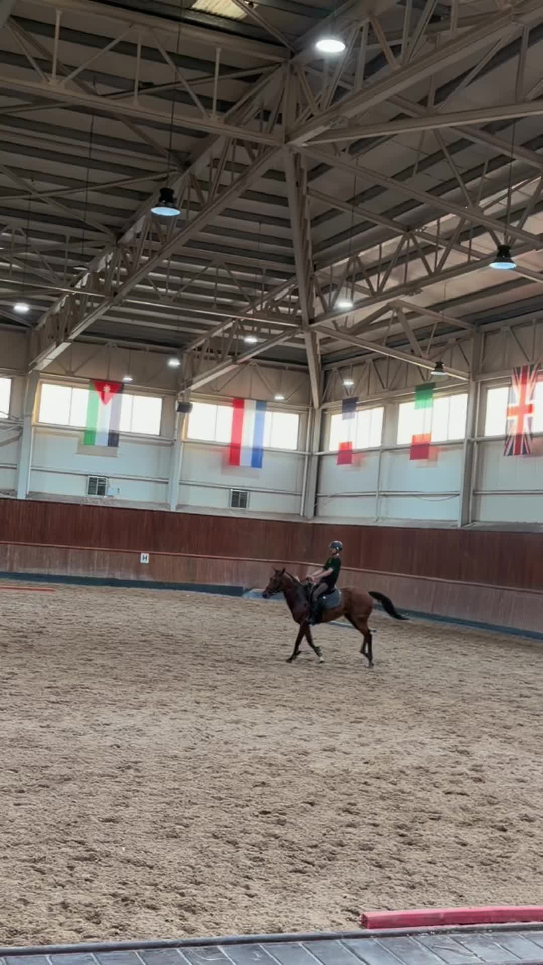 @حە مە🐎🫀