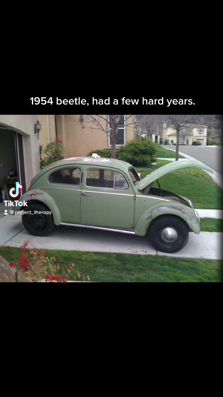 @project_beetle