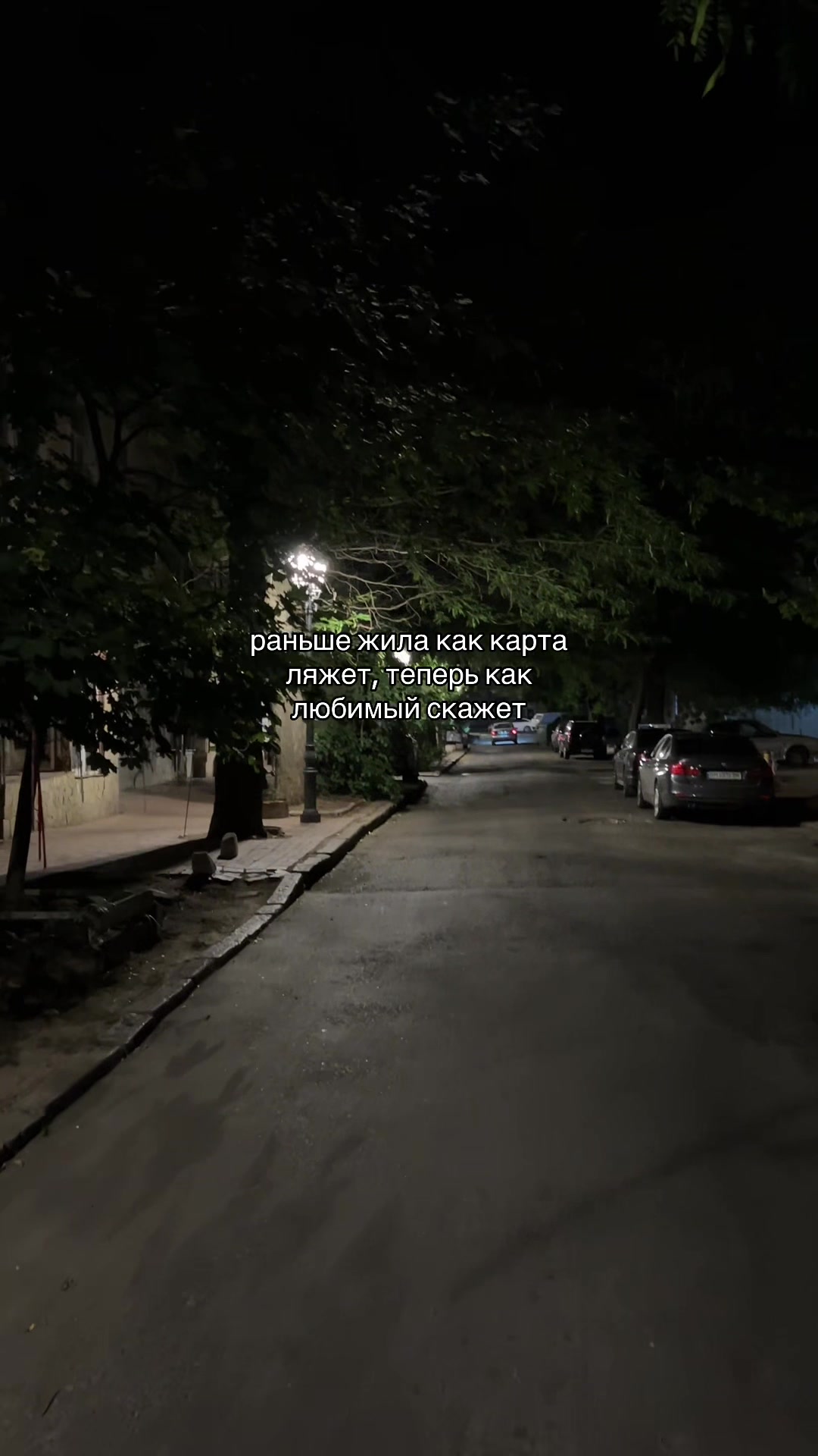 @кис кис💗