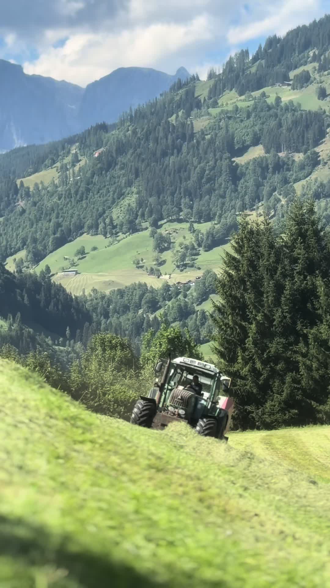 @Julianjohnny_steyr
