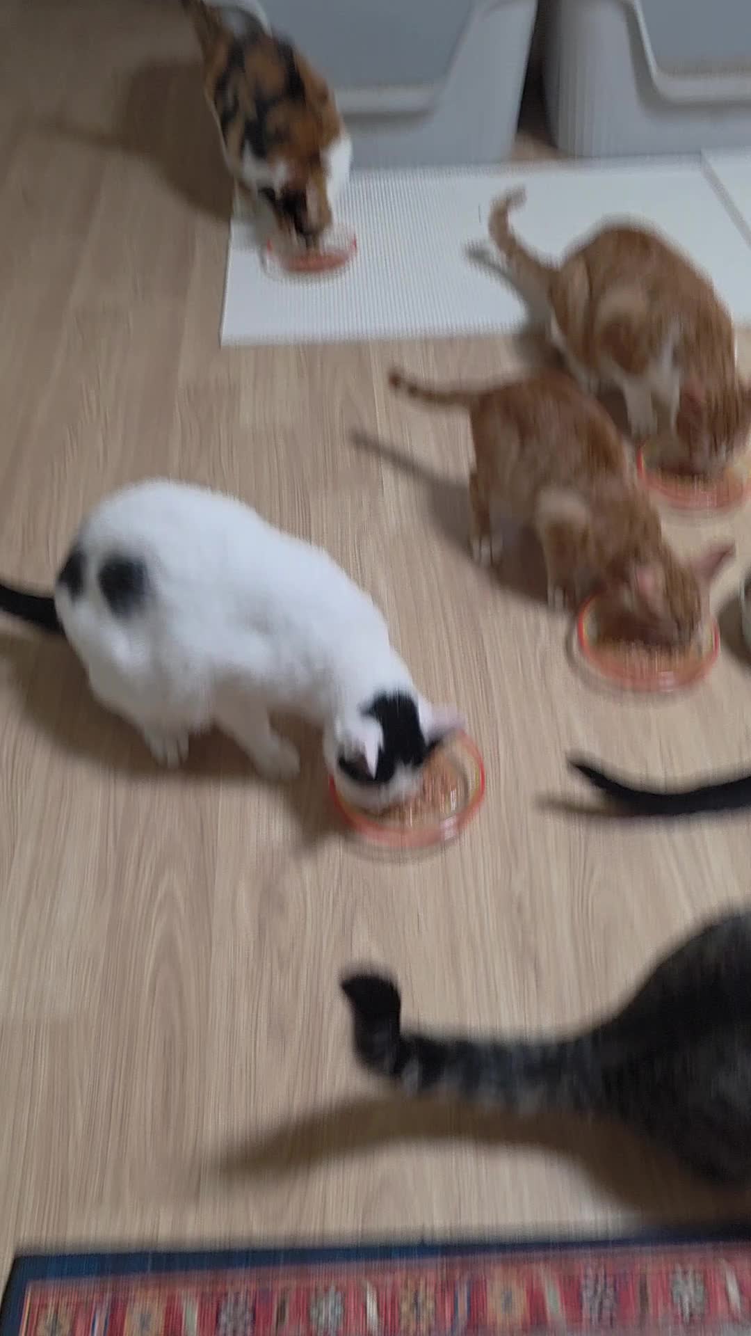 @๊ฐ์์๋น ๐๐๐