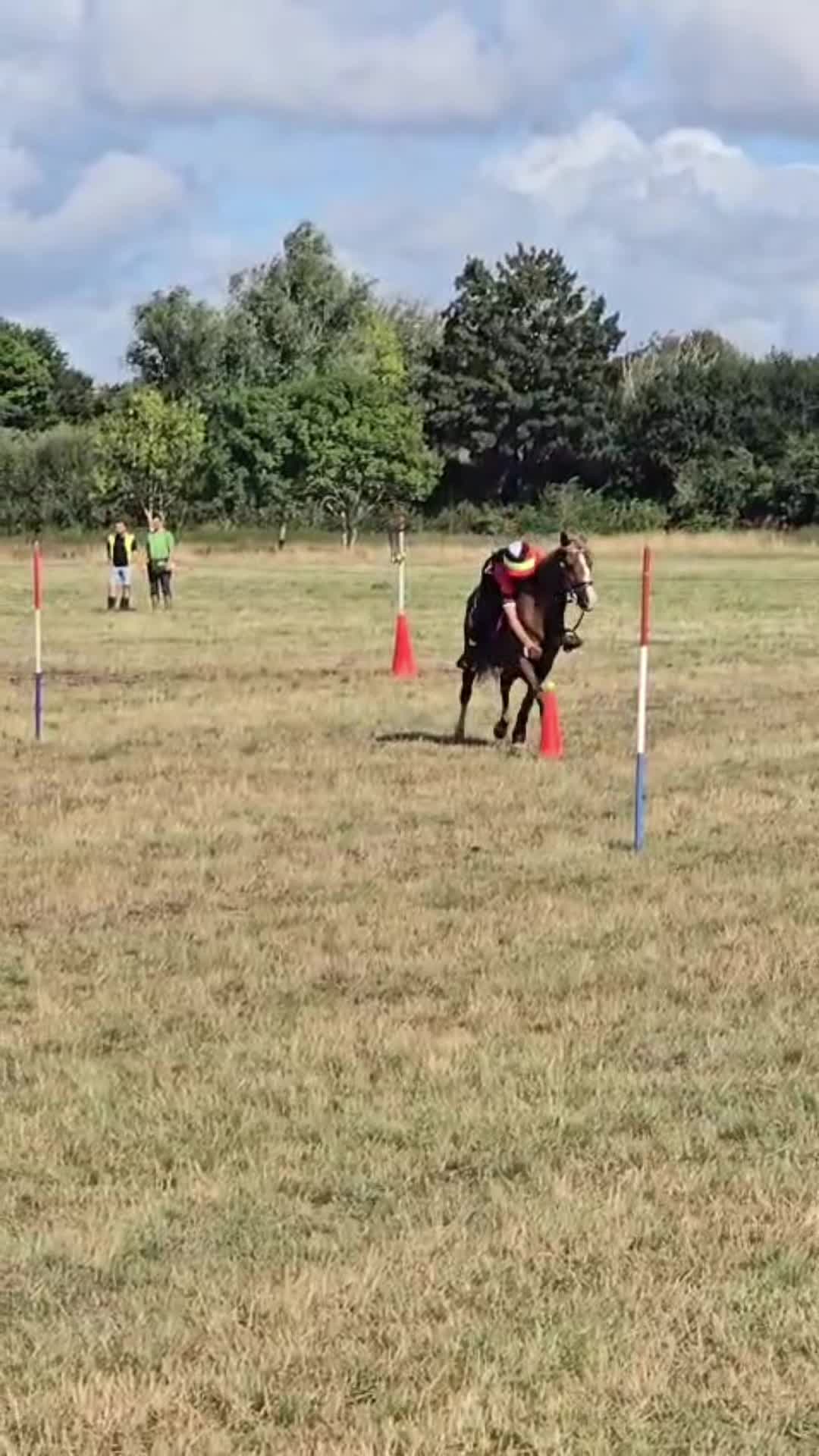@shelbyshorseaccount