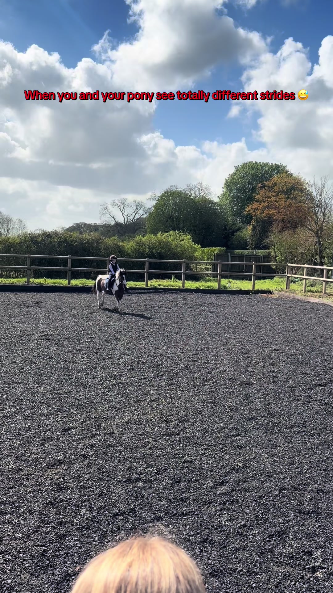 @Nina&rsquo;s Pony Adventures ❤️