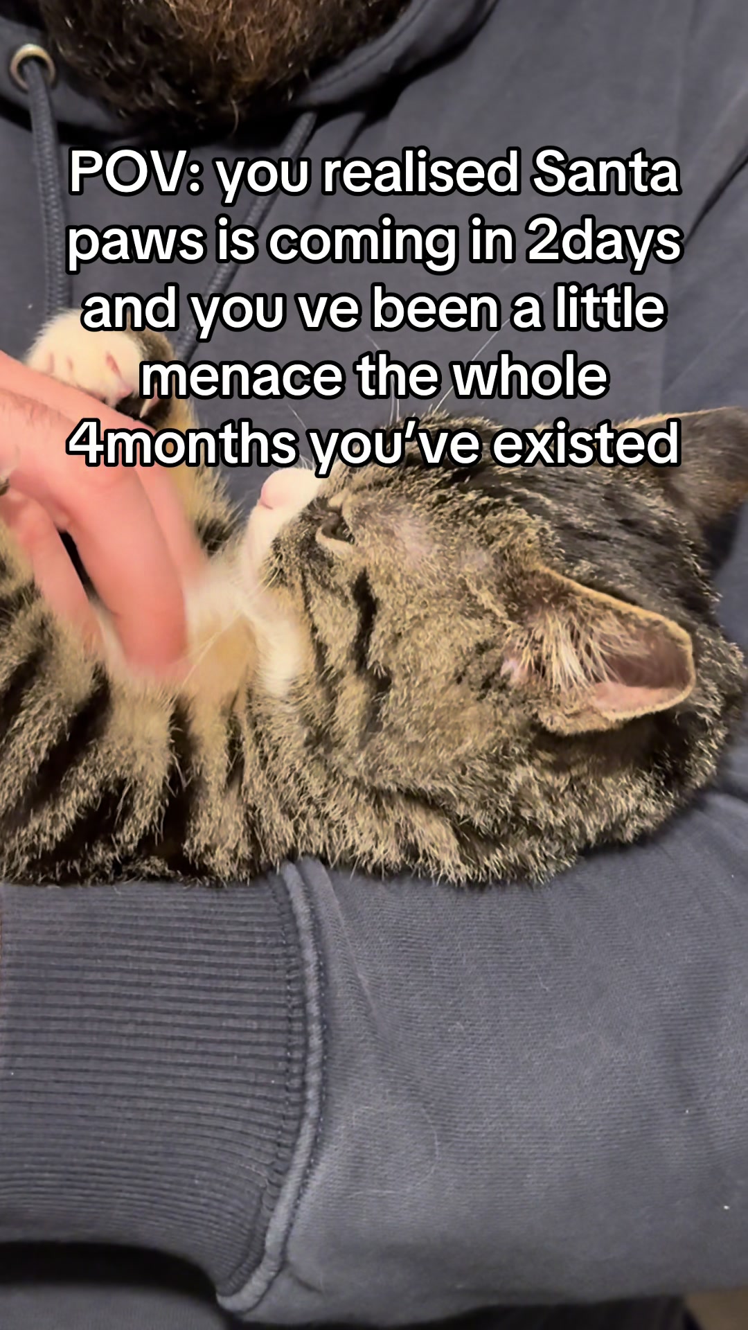 @Alison Rich