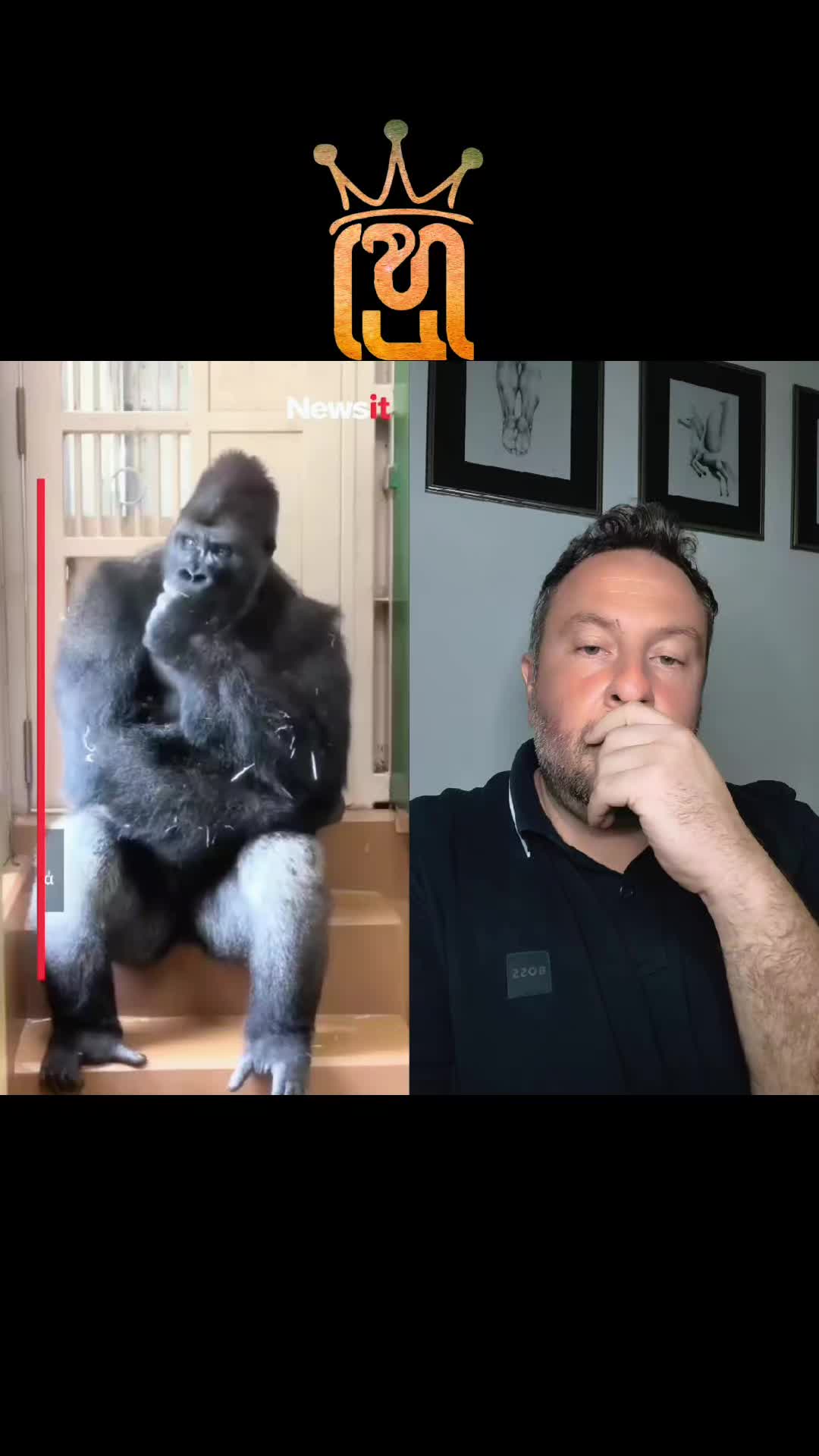 @hadjieleftheriadis