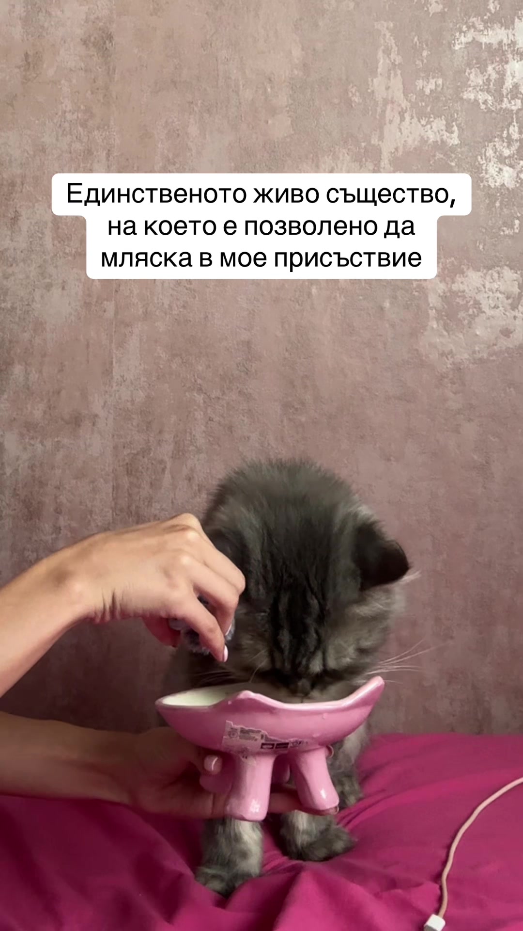 @Ivanina