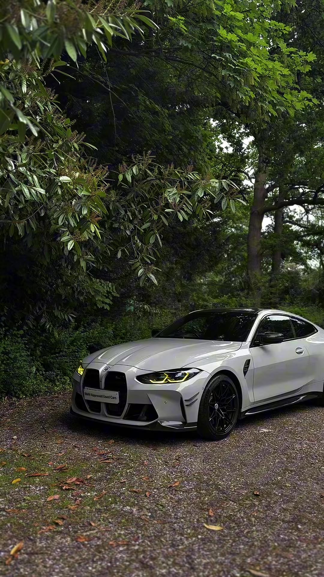 @VinesBMW