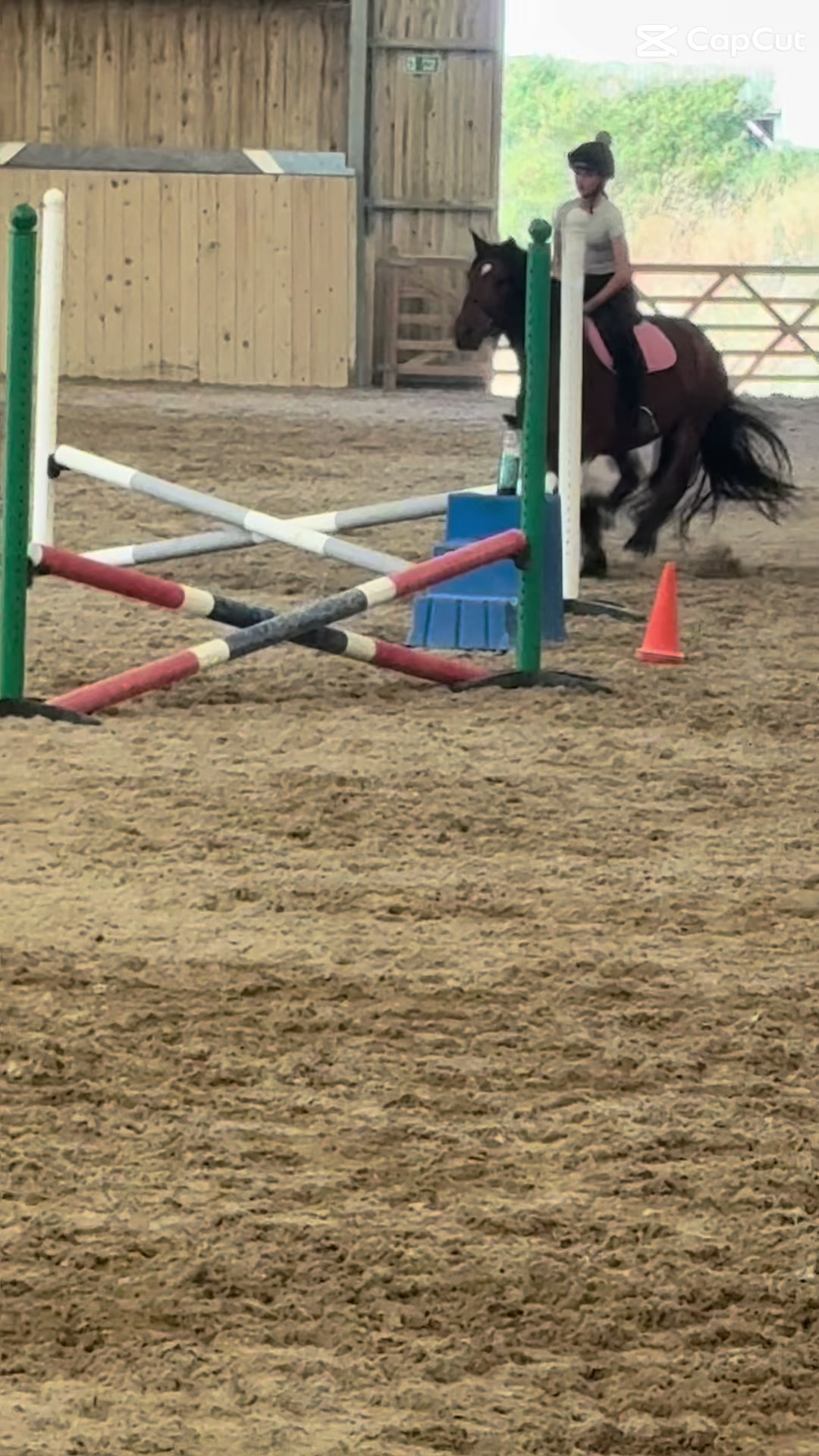 @poppy 🌾🐴 🇬🇧