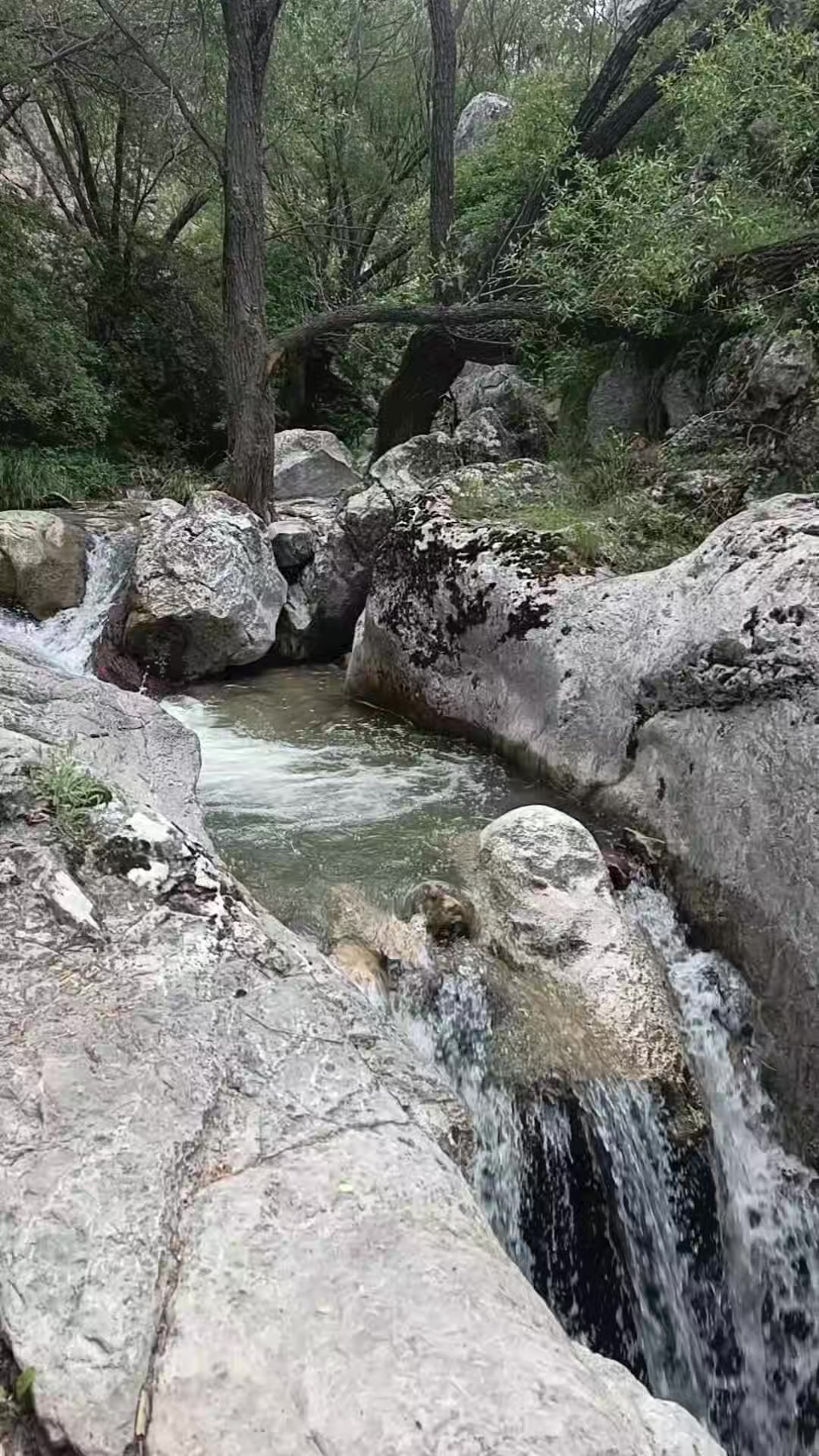 @Nazlı🌸