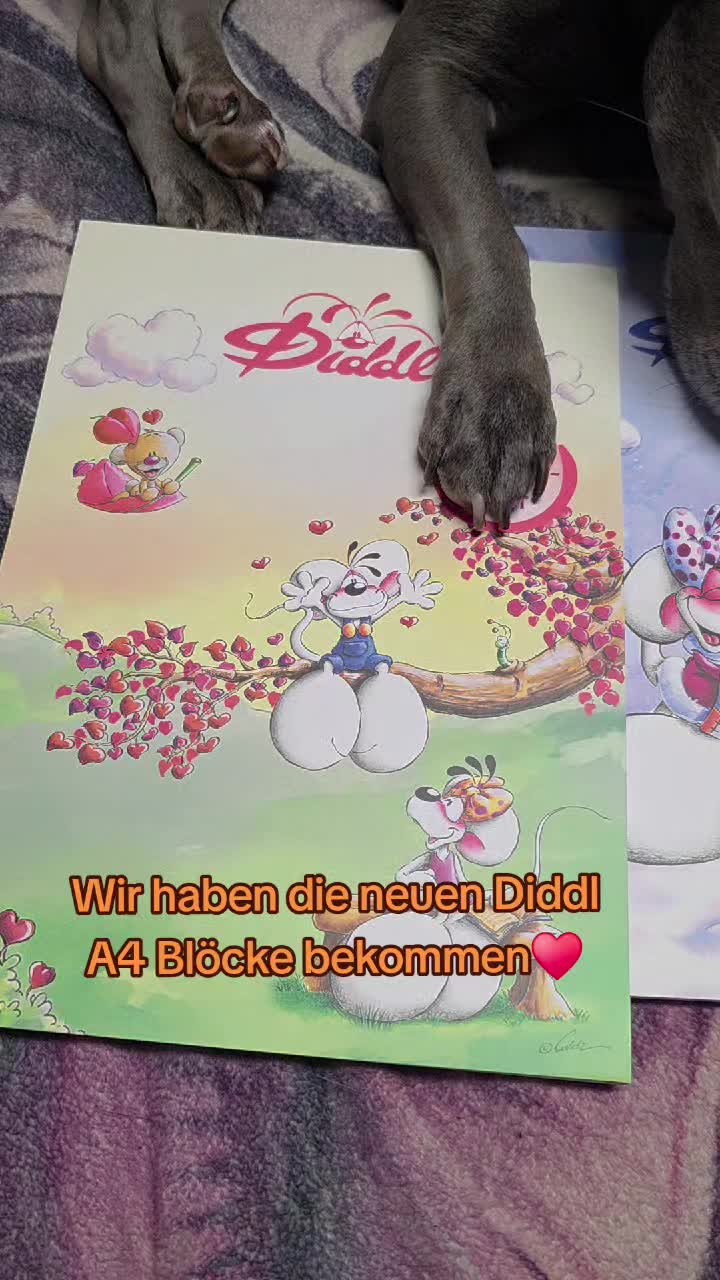 @Zara Alukanija Kiyomi 🐕🐾