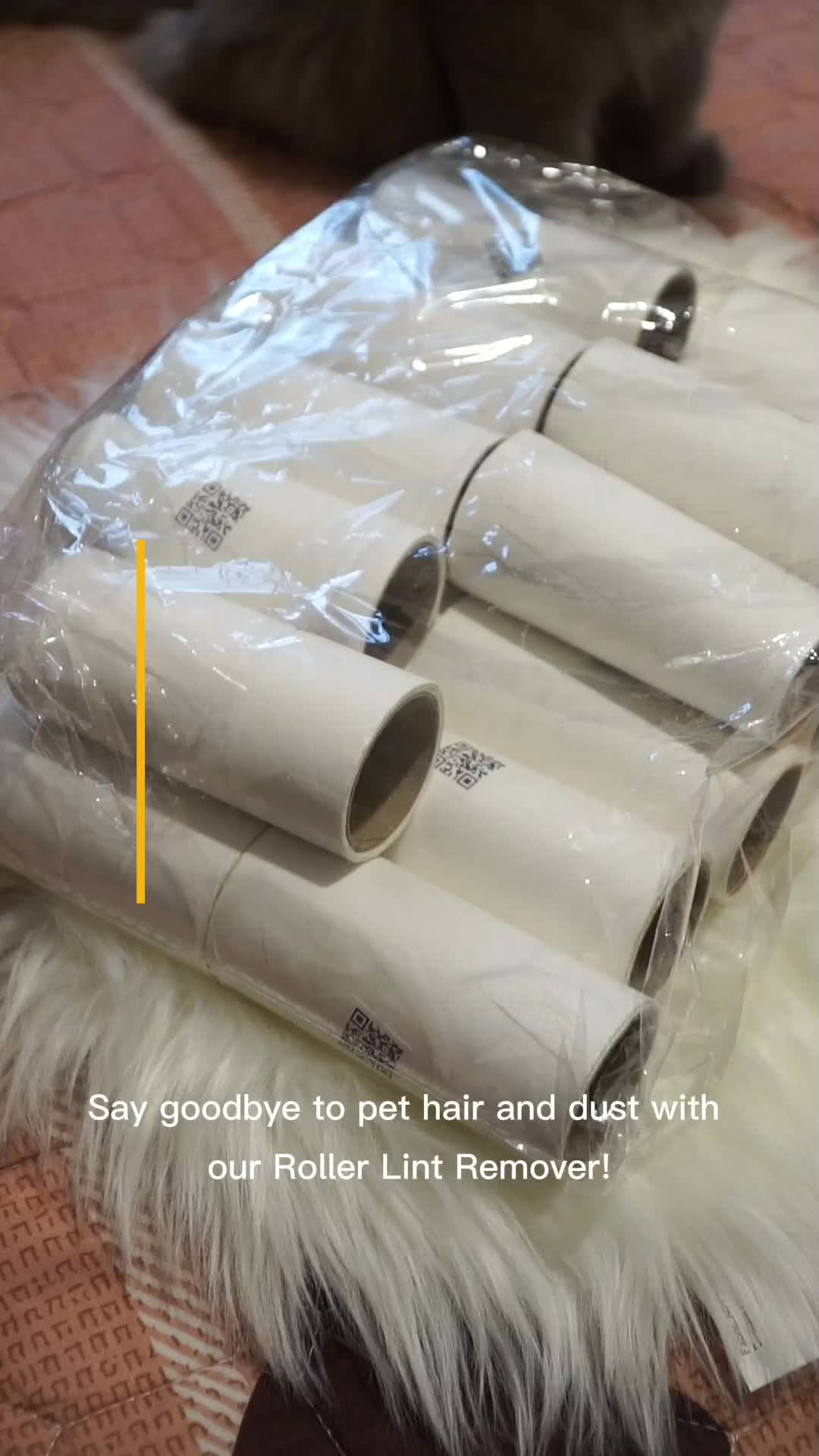 @Leo_and_Chase