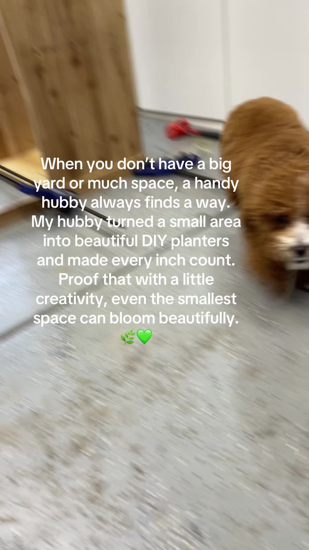 @momspups