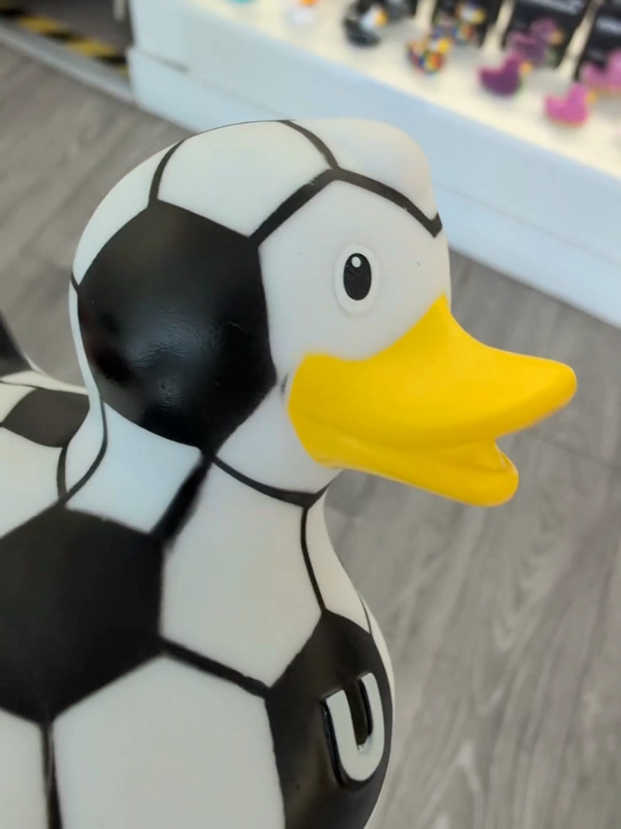 @Killarney Duck Store