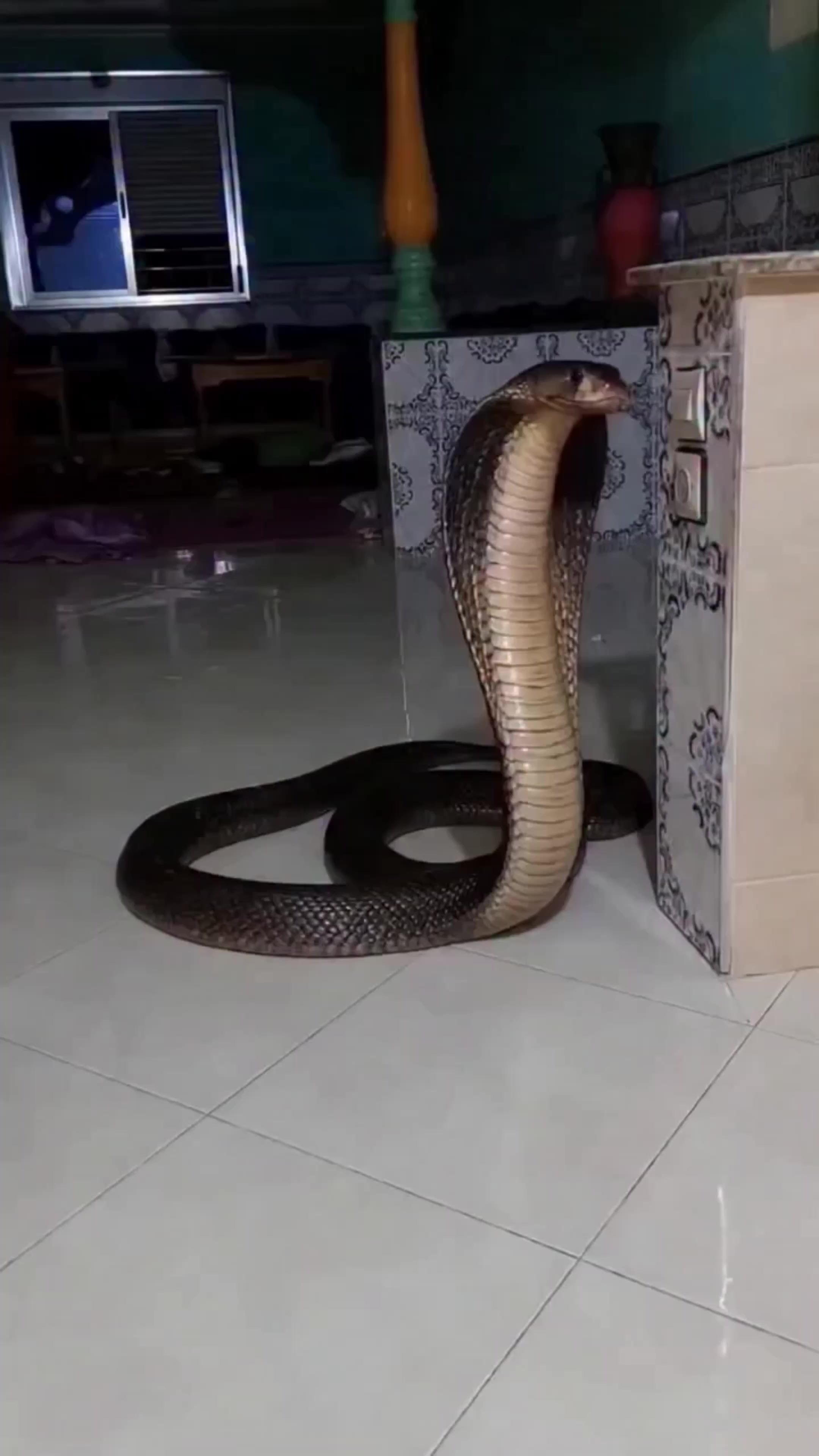 @Desiboy77