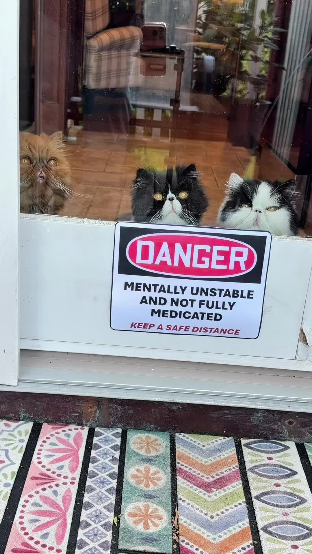 @Walter Bishop The Cat