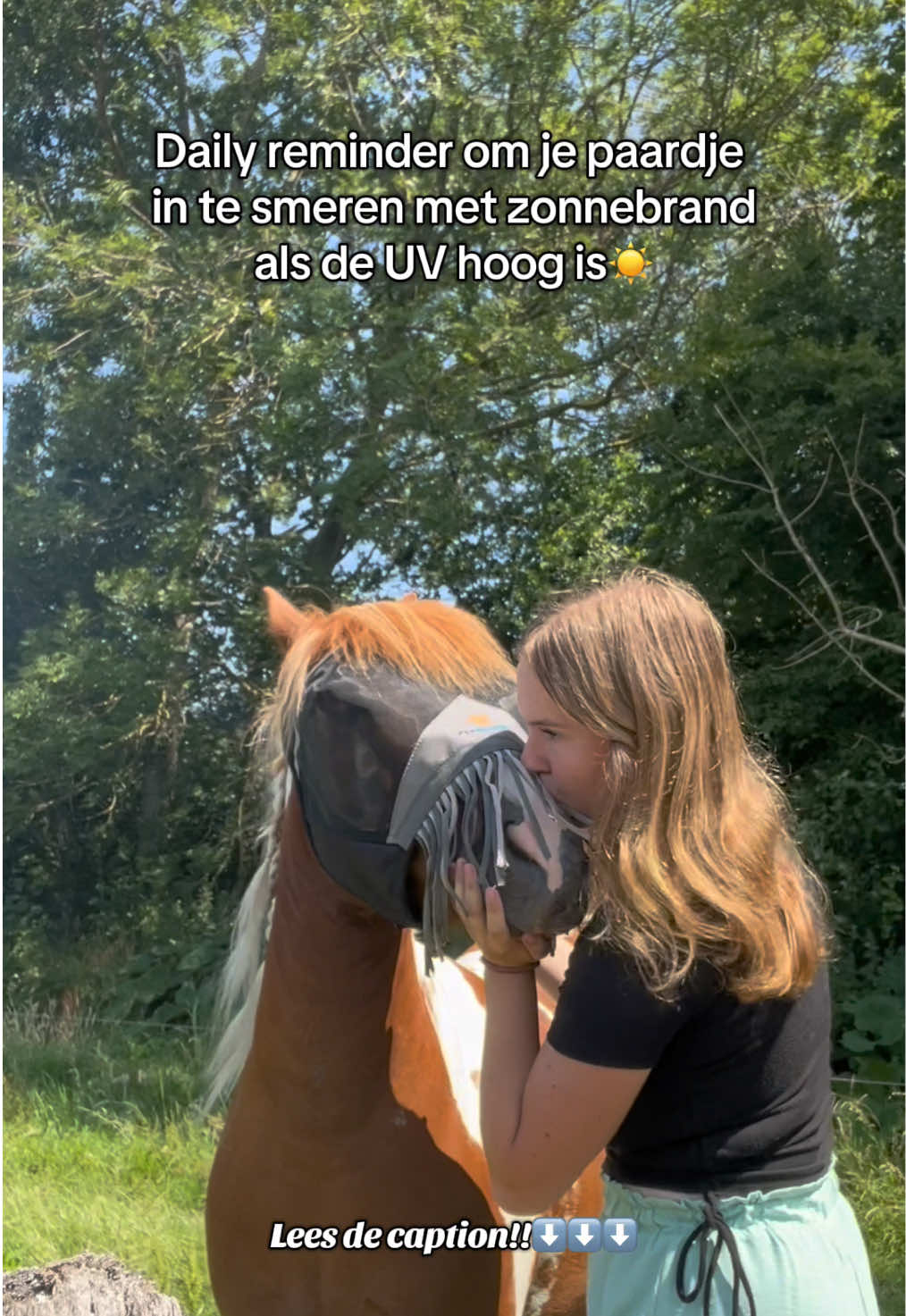 @idh_horses