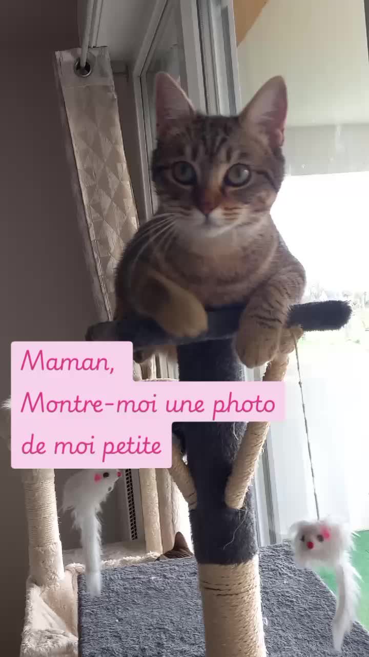 @Kitty et Jul