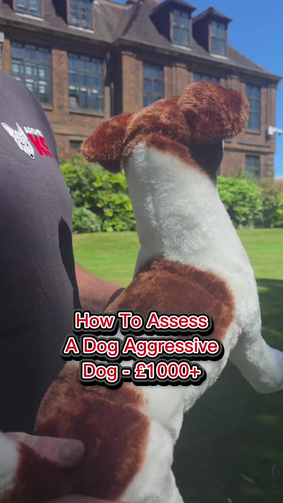 @Archer K9
