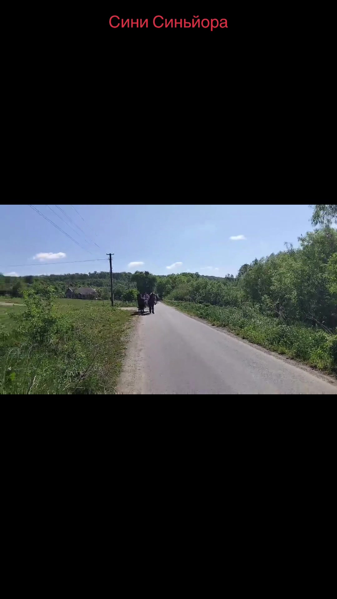 @_horses_farm_syrosh_