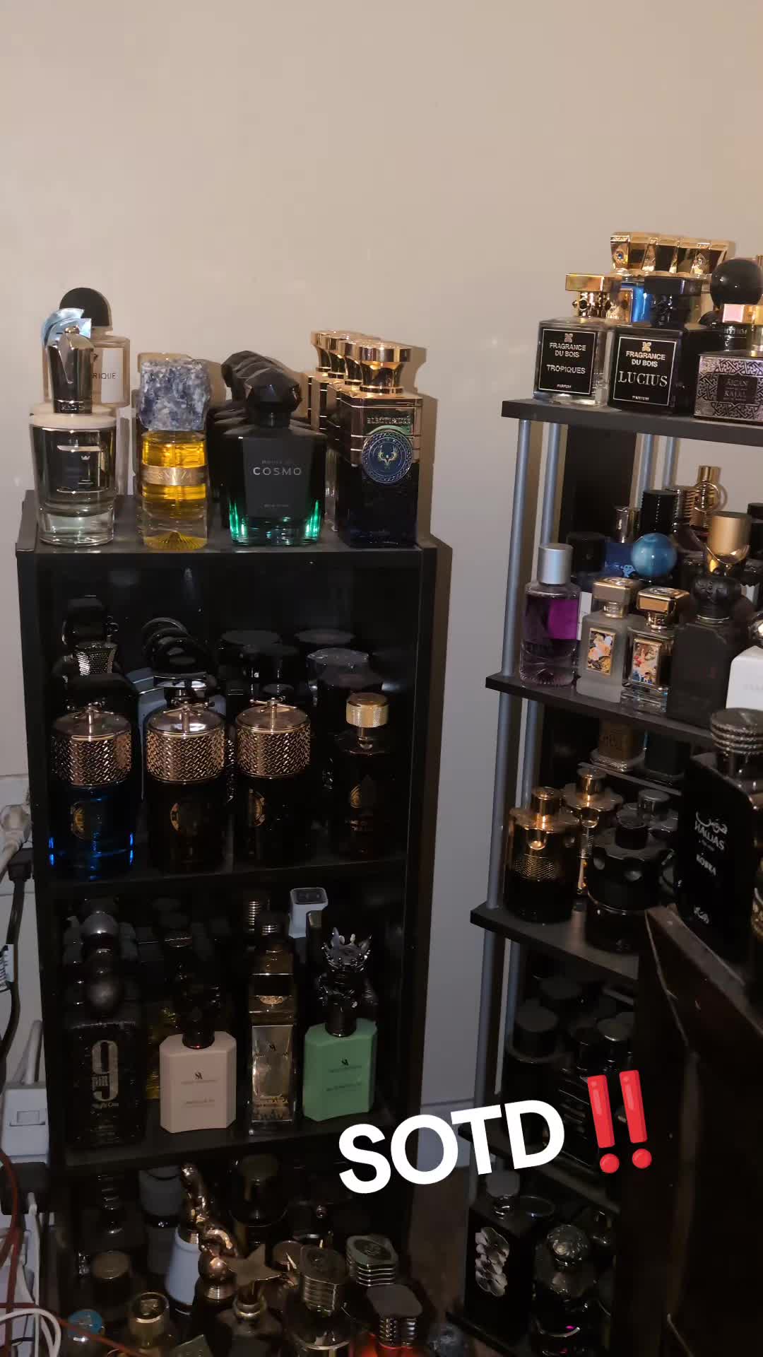 @ScentGod5