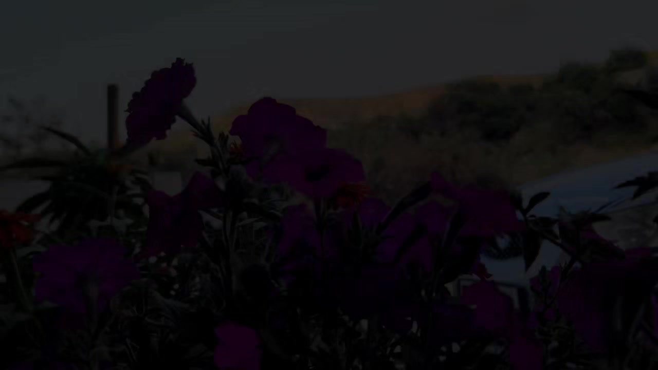 @𝓪𝓱𝓶𝓮𝓭 ¹⁸ 🦇