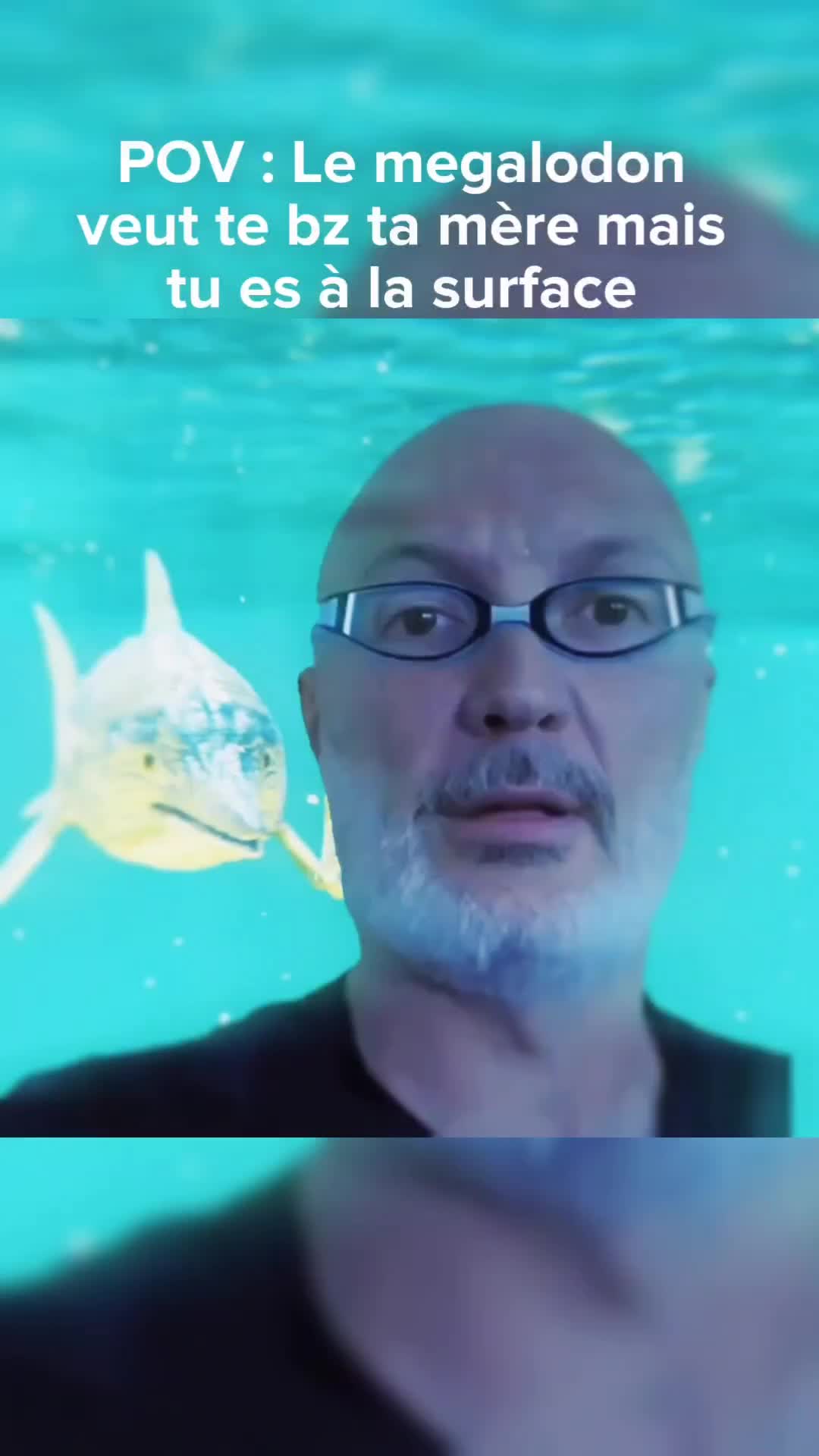 @๐ฆโ ๐๐ฅ๐๐๐จ๐ฅ โ๐ฆ