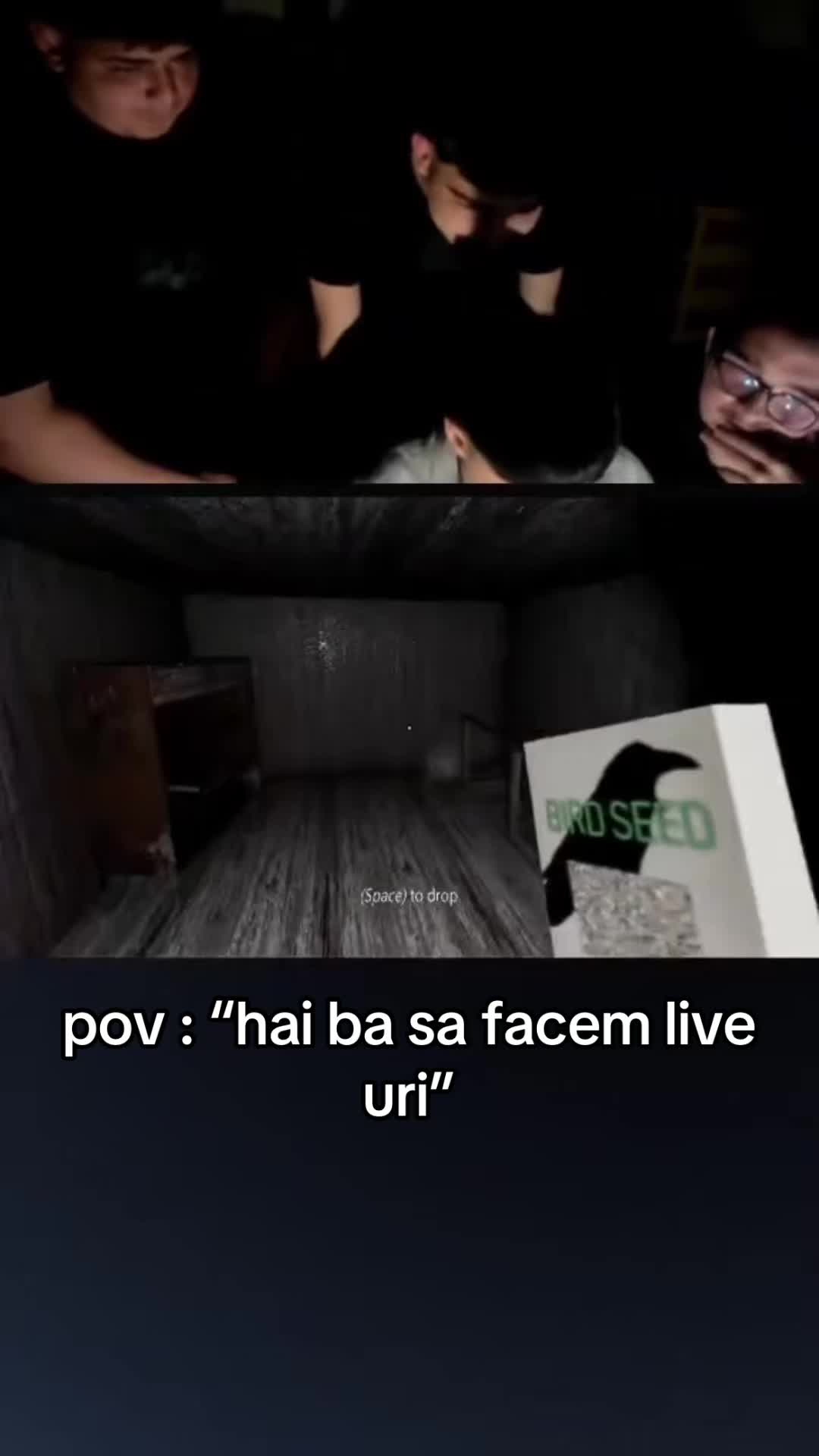@catalin