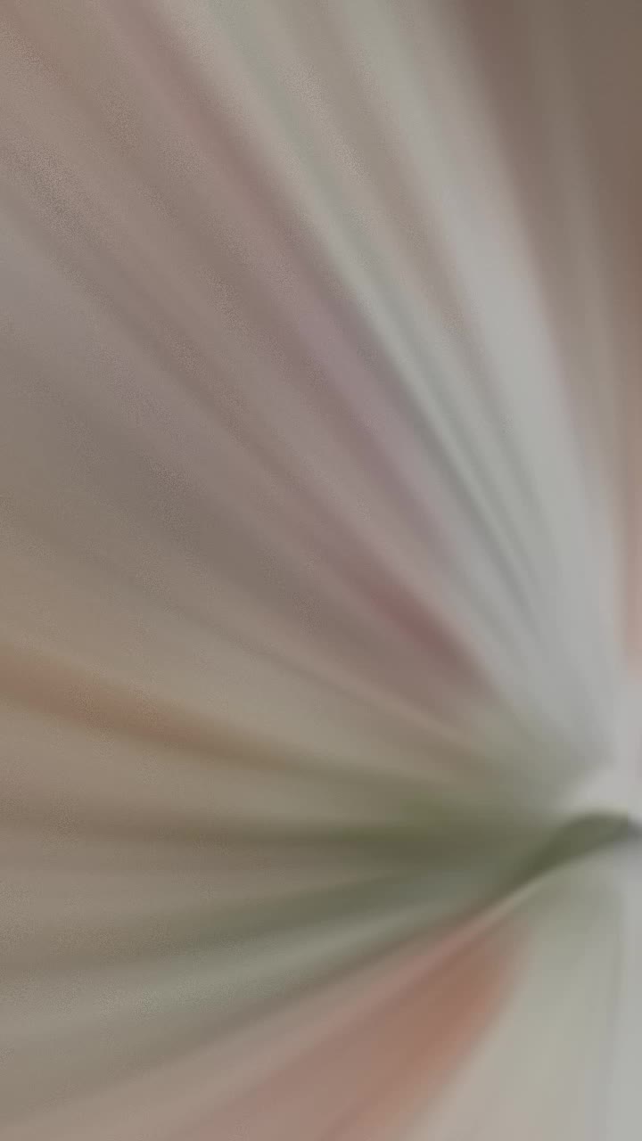 @🌺 𝕔𝕦𝕥𝕖 𝕡𝕖𝕤𝕙𝕠🐱🫀
