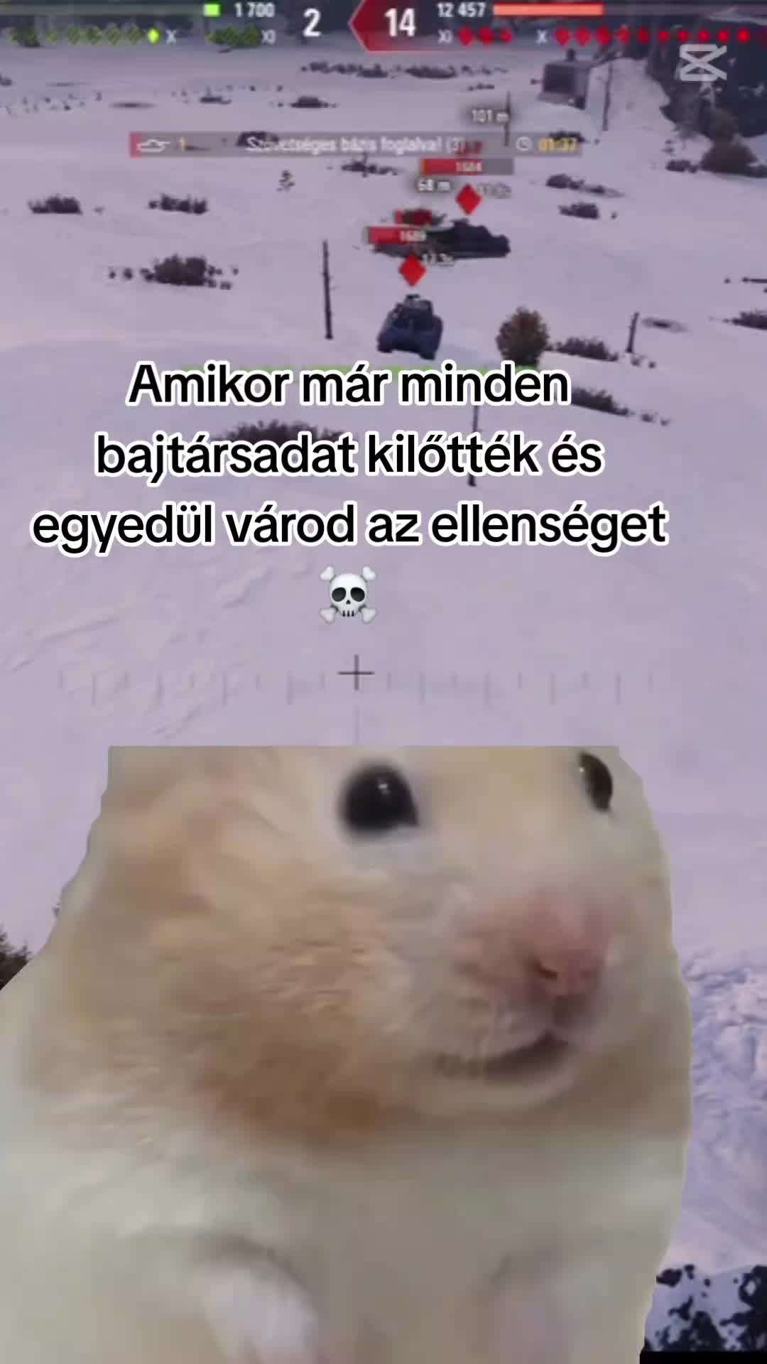 @VattaCukika🐈🩷