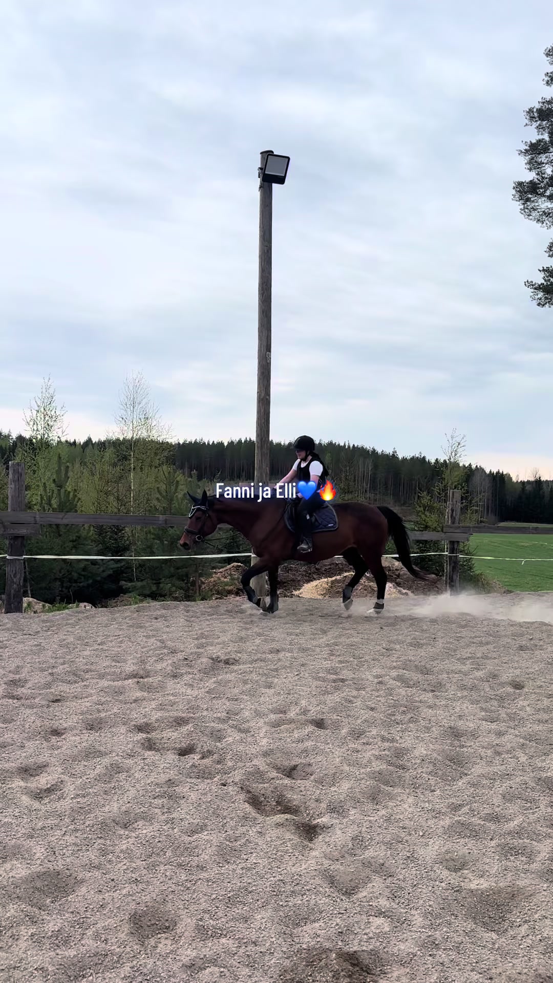 @Ponirannan talli🇫🇮🐎