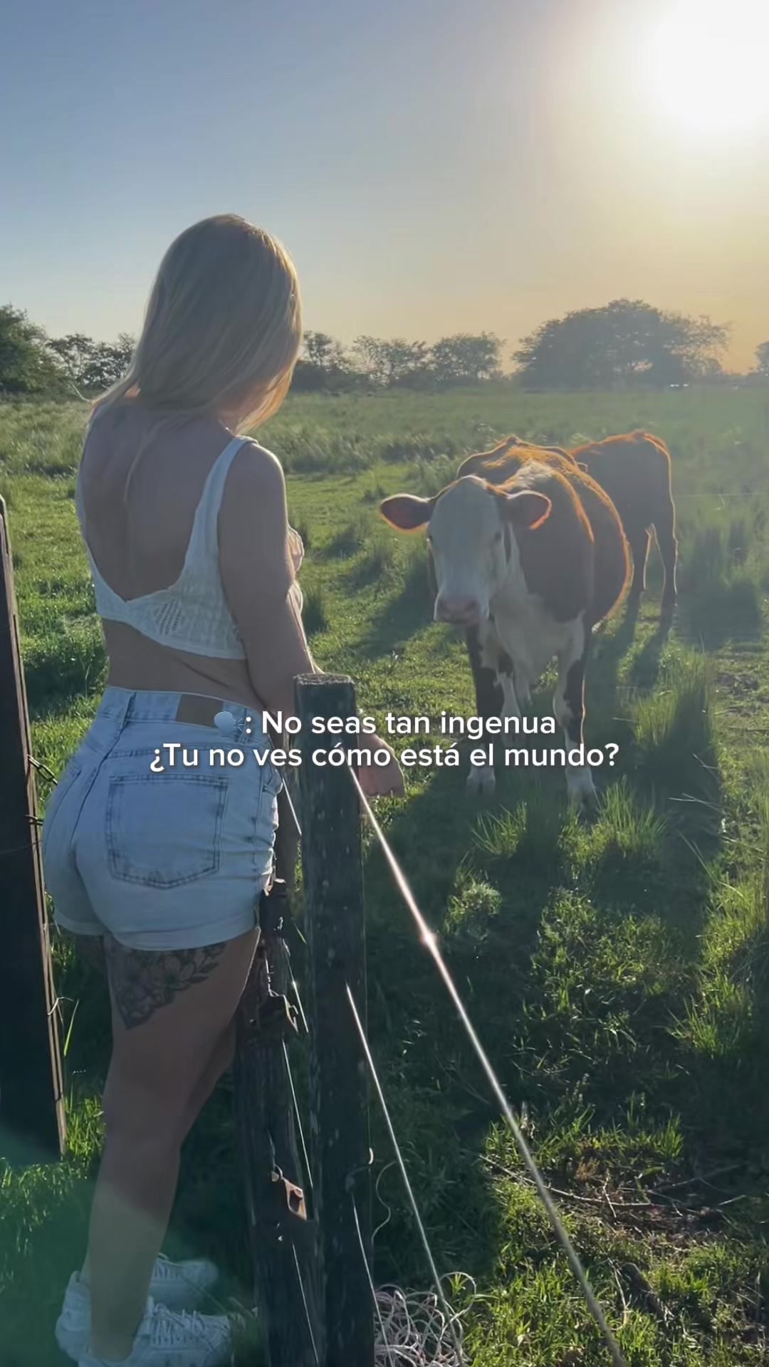 @Micaspengler