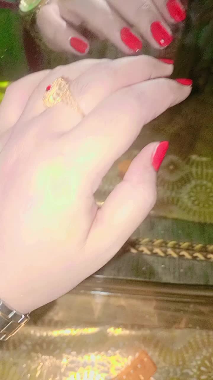 @Rabia Tasleem