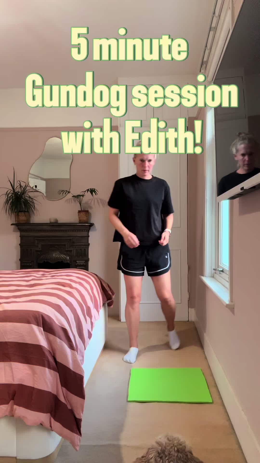 @MilneandMutt