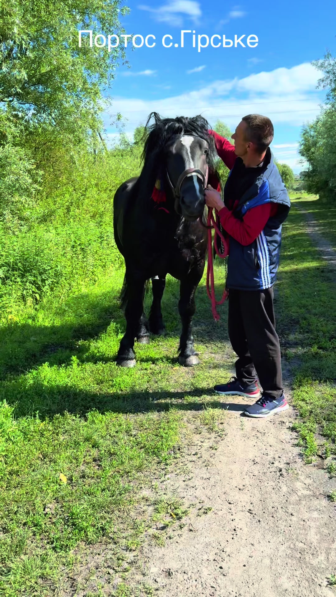 @_horses_farm_syrosh_