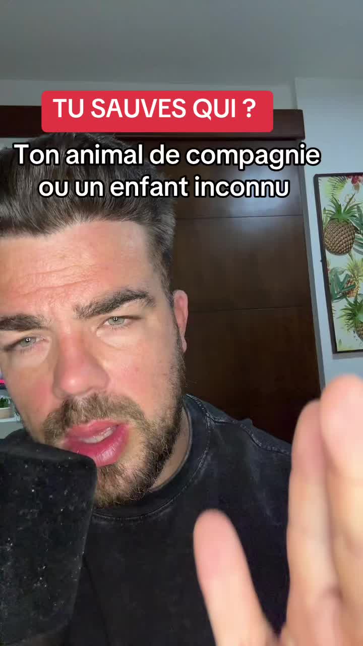 @🇫🇷GRINGO LOCO🇫🇷
