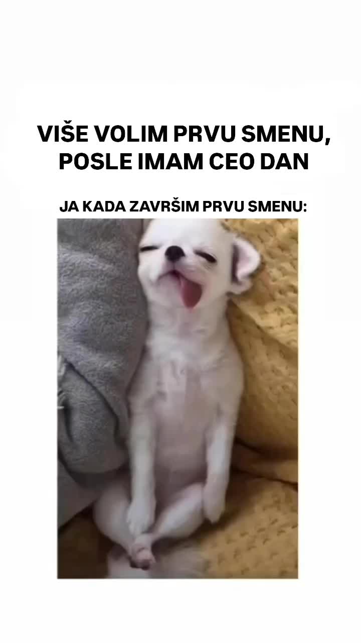 @BalkanZabava