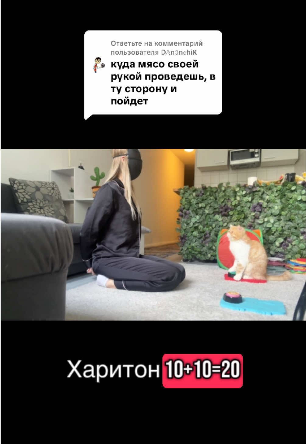 @hariton.cat