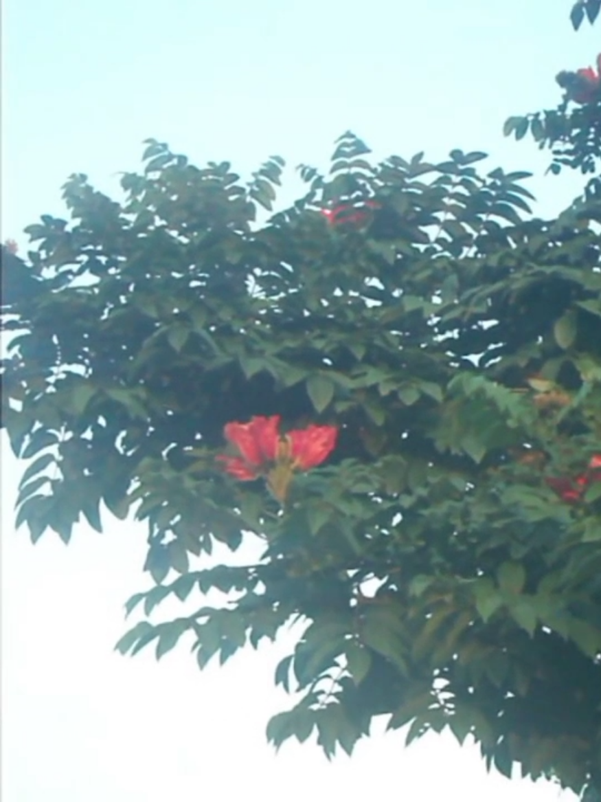 @Springᯓִֶָ࣪☾.