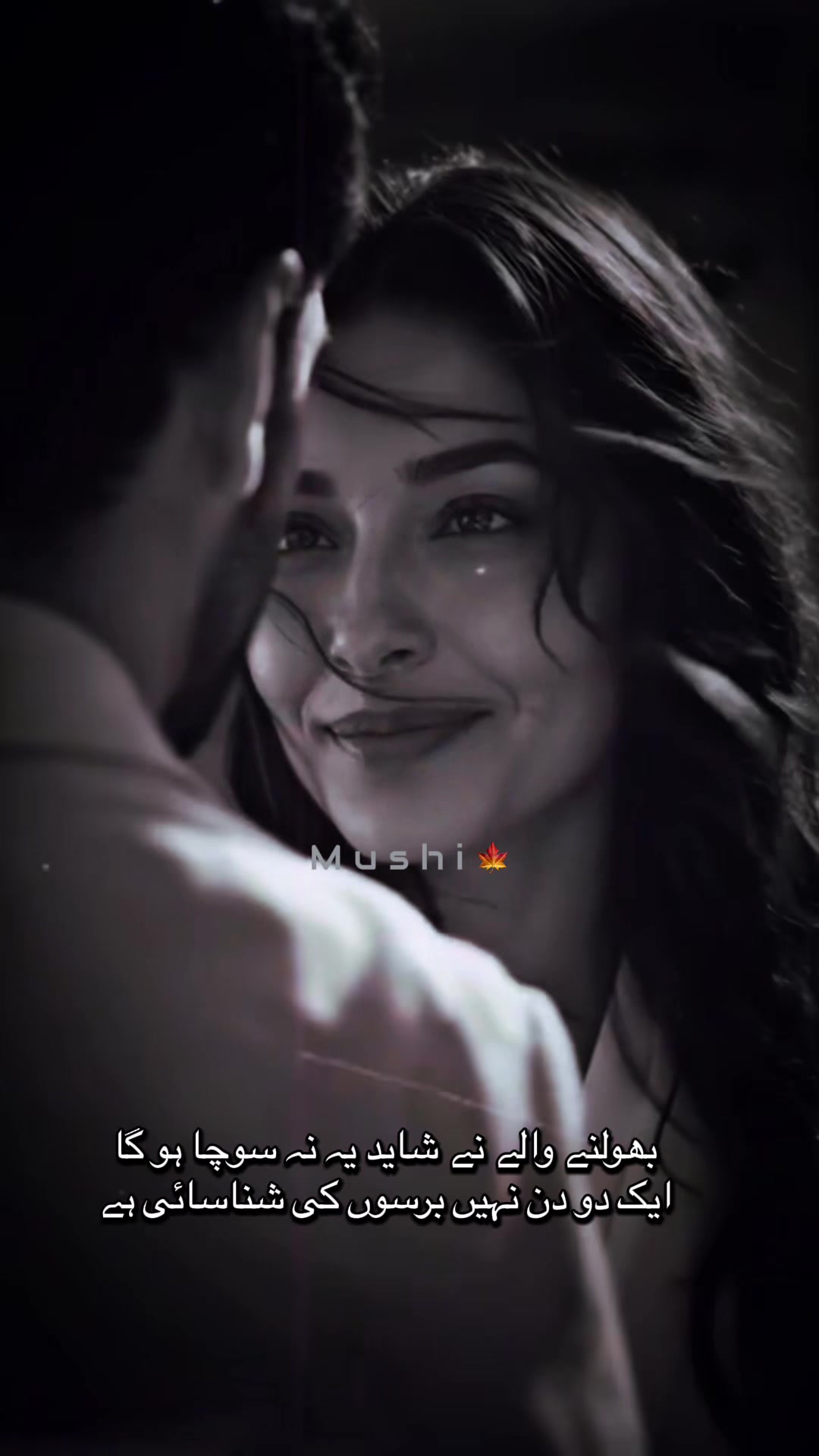 @Ayzal🍁Mushi