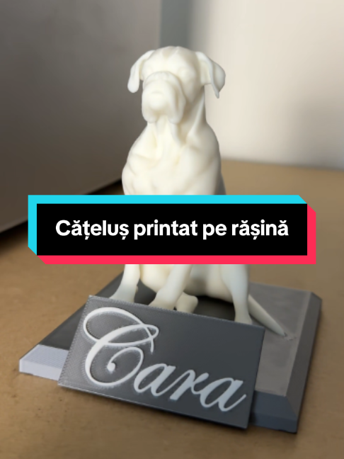 @Eco3D