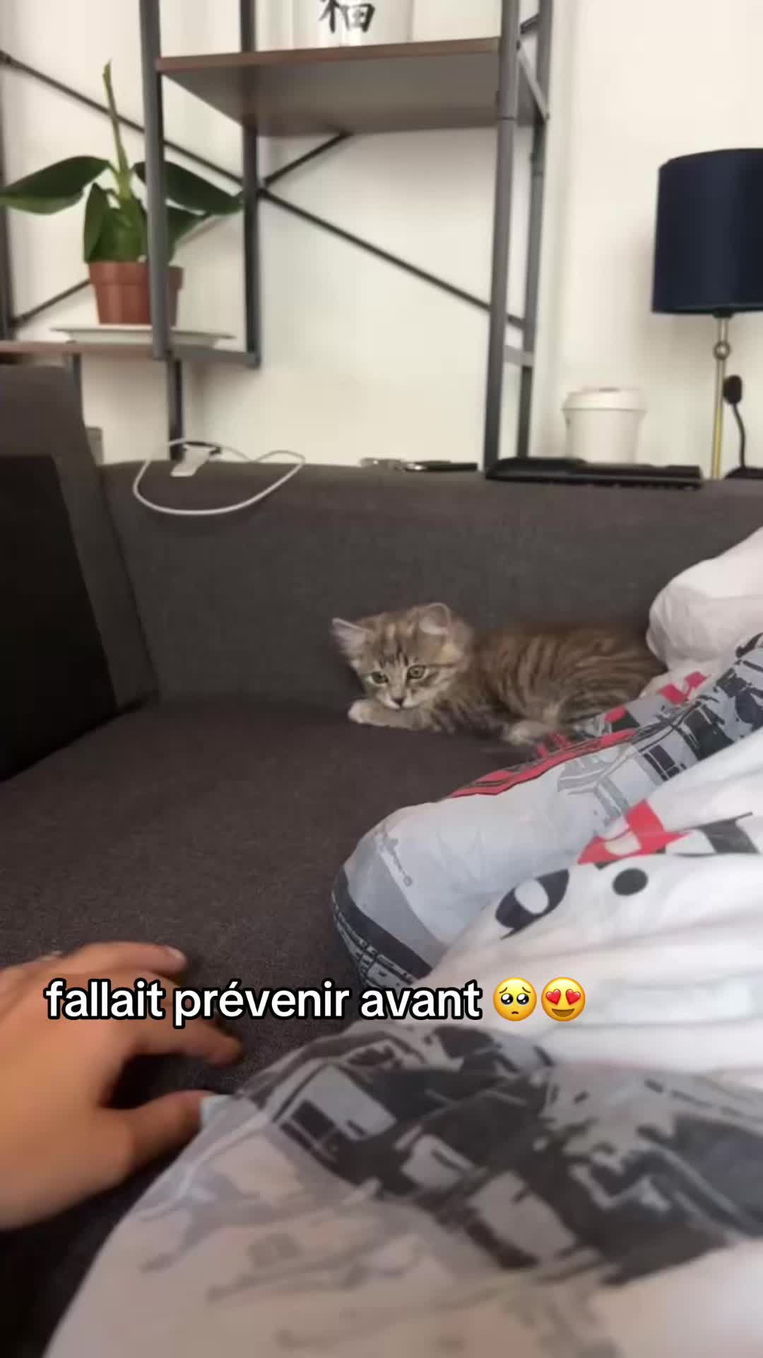 @Séréna 🐺